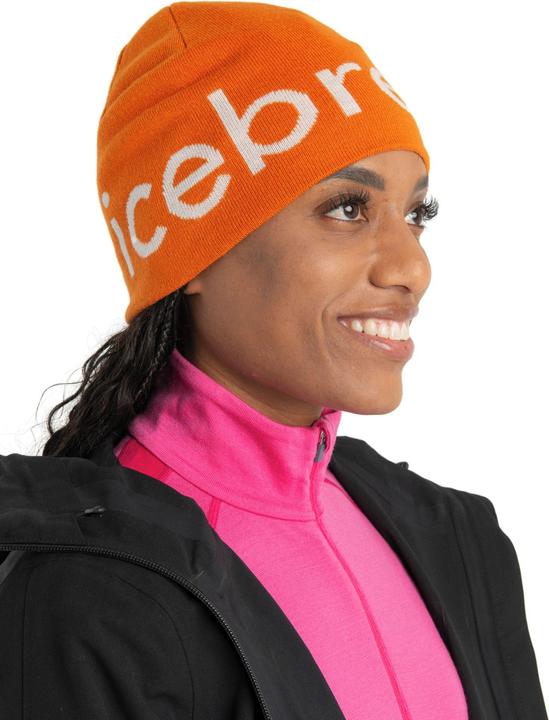 Image du produit Icebreaker U Mer Bonnet (Taille unique)