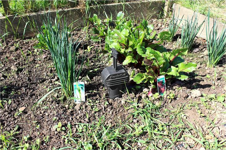 Produktbild Super Cat Wühlmaus-Falle SuperCat 1er
