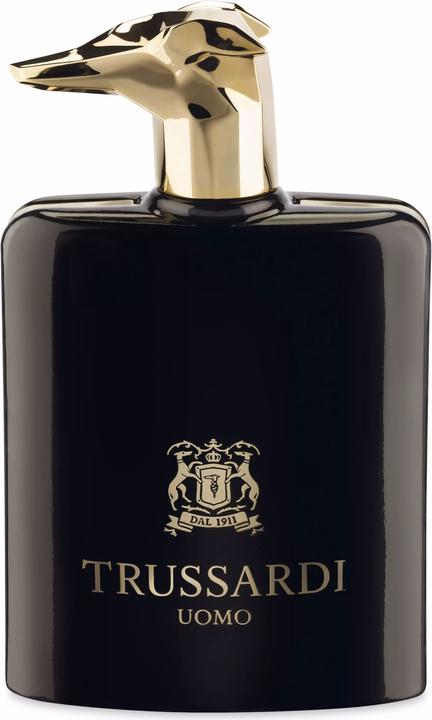 Trussardi Uomo (Eau de Parfum, 100 ml)