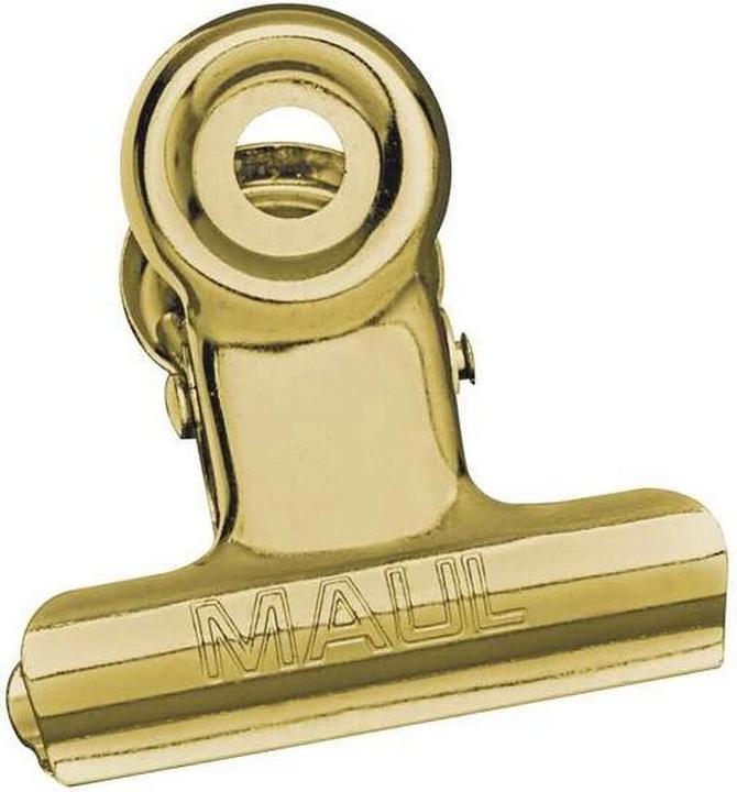 Image du produit Maul 10 pinces à relier or 3,0 cm