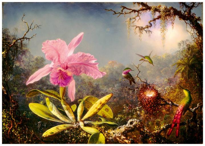 Immagine prodotto Bluebird Puzzle 1000 Orchidea Cattleya e tre colibrì (1000 pezzi)