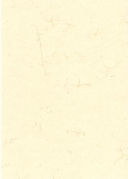 Immagine prodotto Rnk Carta motivo editoriale pelle di elefante scamosciato DIN A3 190 g/mq 10 fogli (190 g/m², 10 x, A3)