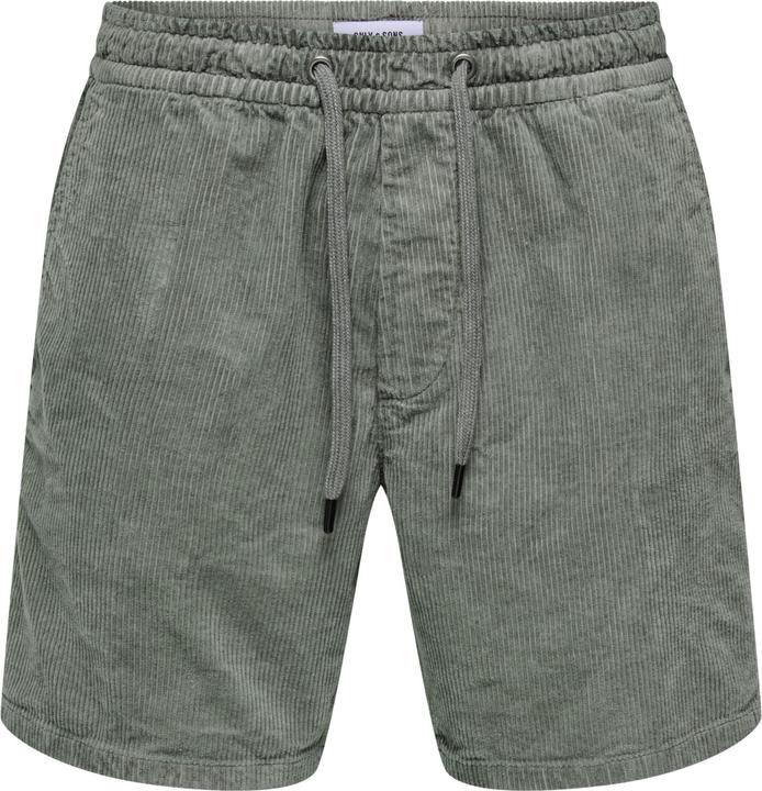 Castor Gray