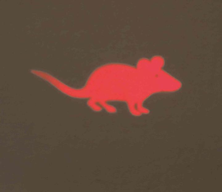 Immagine prodotto Trixie Puntatore LED Catch the Light Mouse (Gioca al gatto topo)