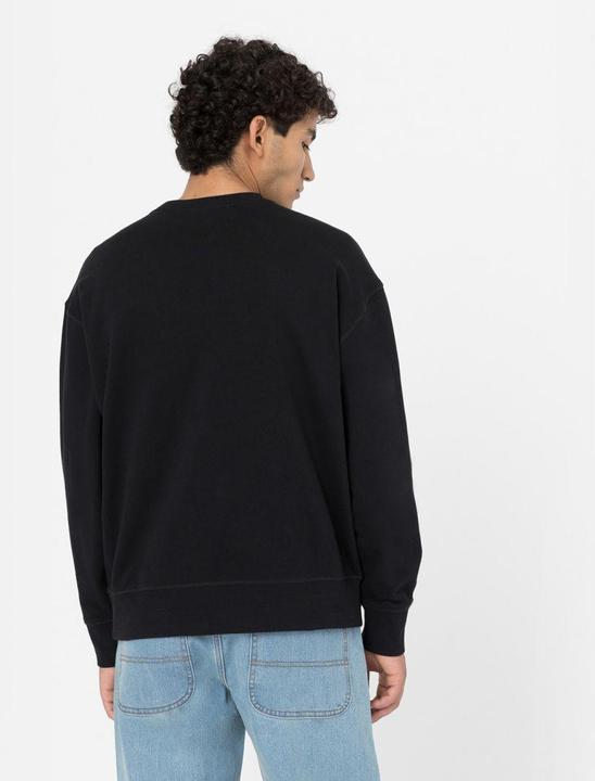 Produktbild Dickies Millersburg Sweatshirt Black (S)