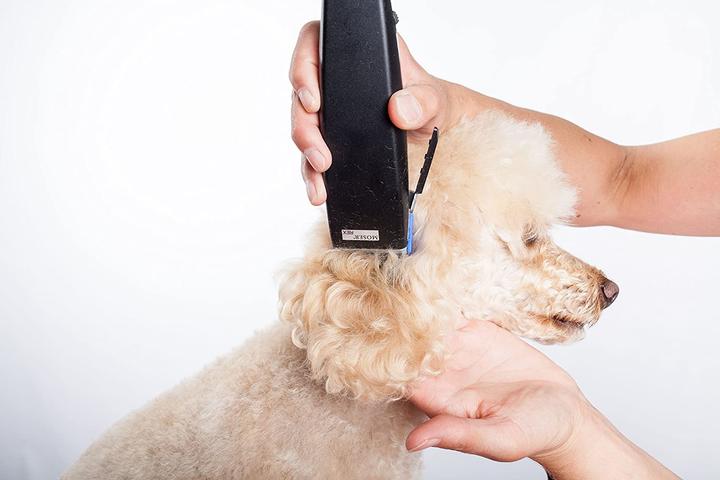 Immagine prodotto Moser Tagliacapelli per cani 1230 REX (Cane, Gatto)