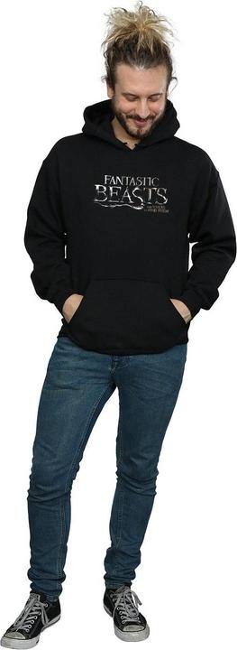 Actual product image Fantastic Beasts Mens Text Logo Hoodie (XXL)