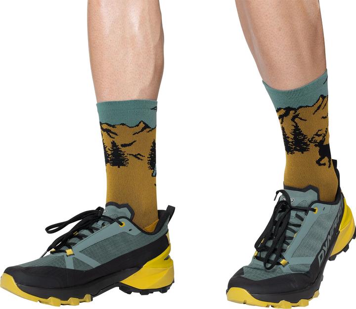 Immagine prodotto Dynafit Stay Fast Socks (43 - 46)