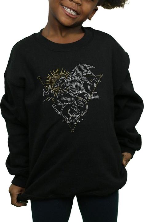 Immagine prodotto Thestral Line Art Felpa Ragazze (116)