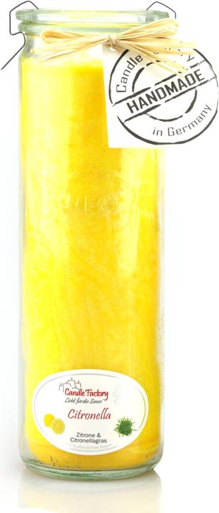 Big Jumbo Citronella