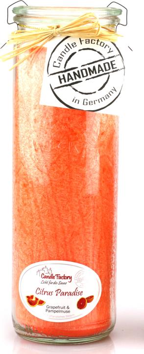 Citrus Paradise