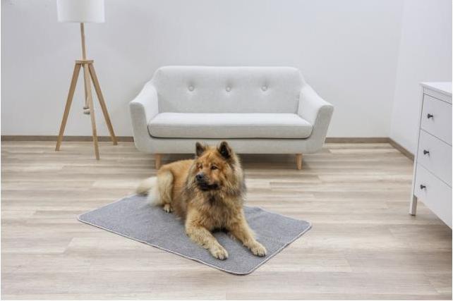 Immagine prodotto Kerbl Tappeto termico (Cane)
