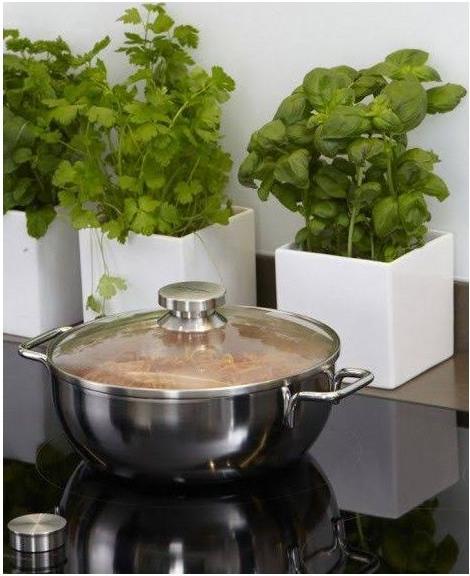 Produktbild Demeyere Glasdeckel mit Edelstahlring 18cm (18 cm, Glas, Metall)