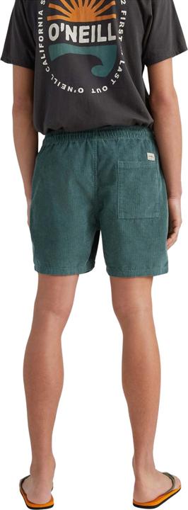 Actual product image O'Neill short camorro cord (XL)