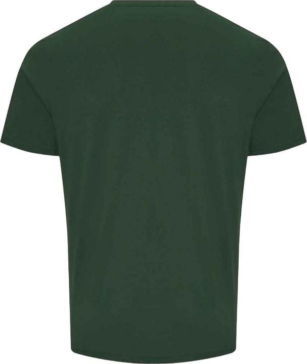 Actual product image Awdis Mens The 100 T-Shirt (3XL)