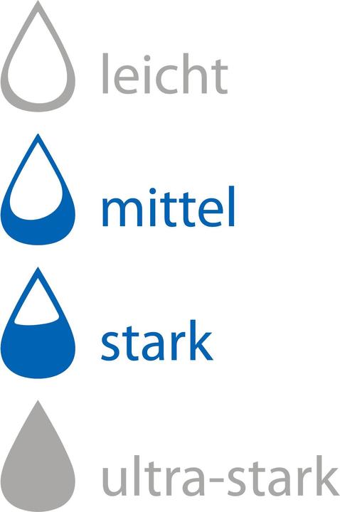 Produktbild Mediset Damen Hygiene-Slip (1 x, Normal, Large)