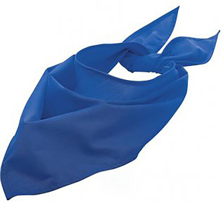 Bleu roi