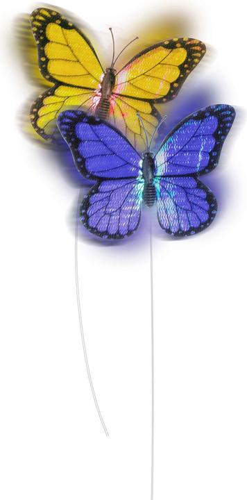 Image du produit All for Paws Butterfly (Jouet d'occupation chat)
