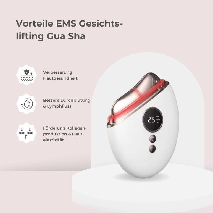 Image du produit Vanessa Beauty EMS lifting du visage Gua Sha