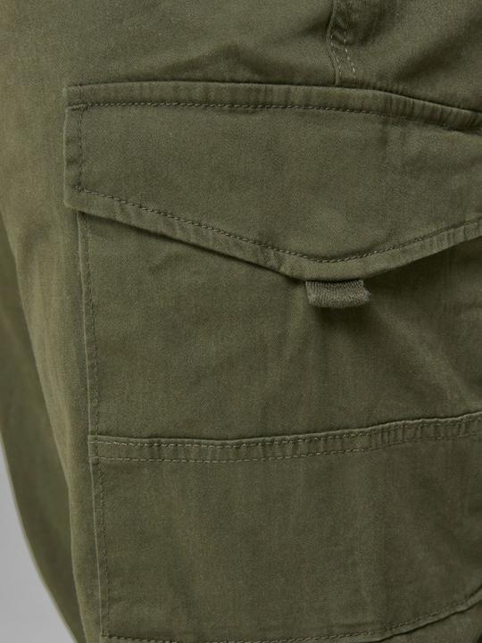Image du produit Jack & Jones Paul Flake AKM 542 Pantalon Cargo Plus Size (46)