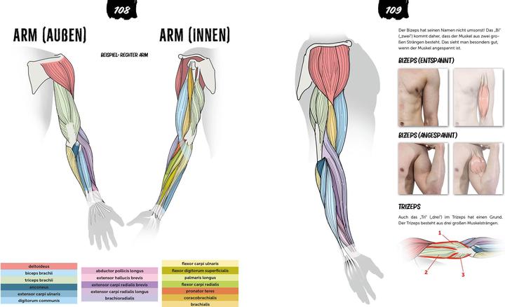 Produktbild Anatomie zeichnen like a Sir (Deutsch, Marcel Kühn, 2024)