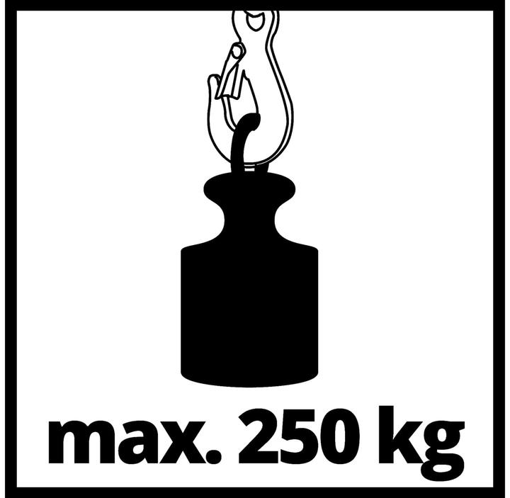 Actual product image Einhell Rope hoist TC-EH 250