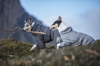 Actual product image Hurtta Extreme (50, Dog coat)