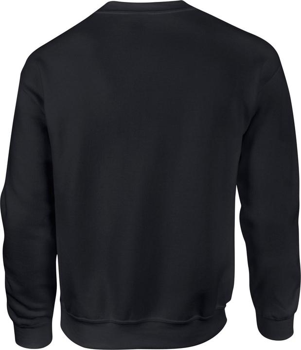 Image du produit Gildan - Sweat - Homme (S)