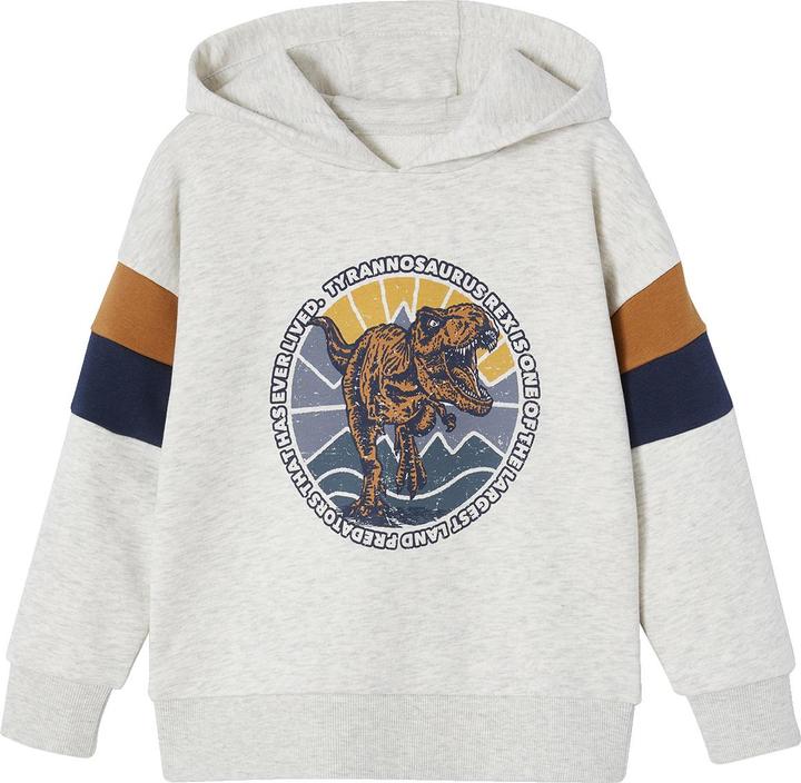 Vertbaudet Jungen Kapuzensweatshirt mit Colorblock-Ärmeln Oeko-Tex