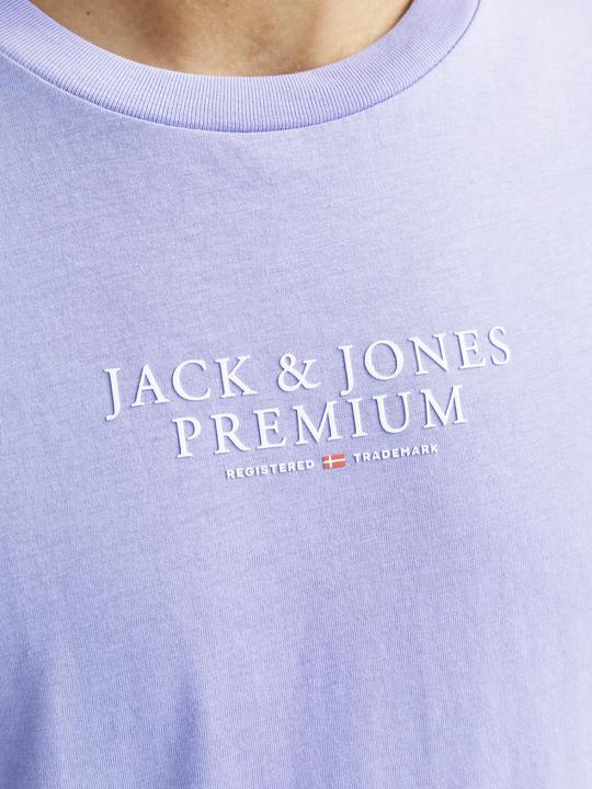 Actual product image Jack & Jones Jprbluarchie Ss Tee Crew Neck Noos (XXL)