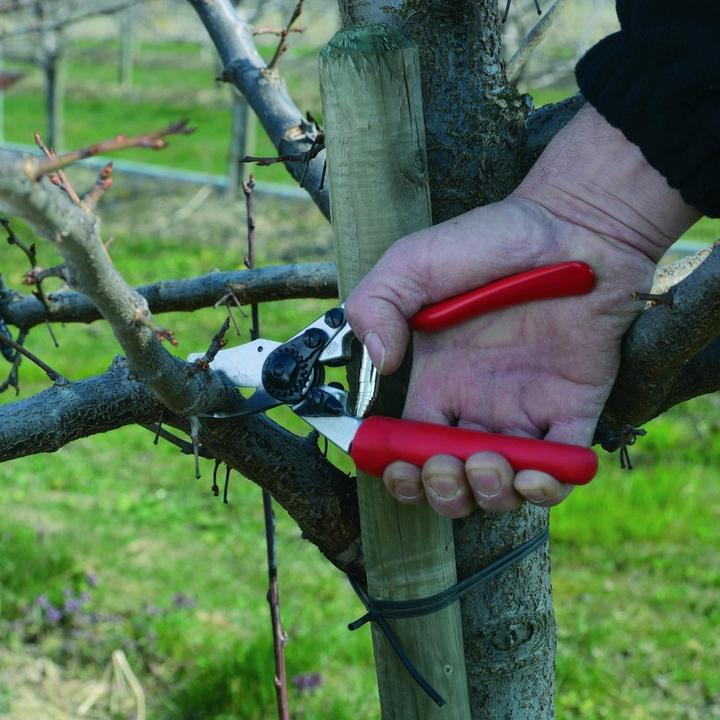Immagine prodotto Felco Forbici da giardino, da vite e da potatura
