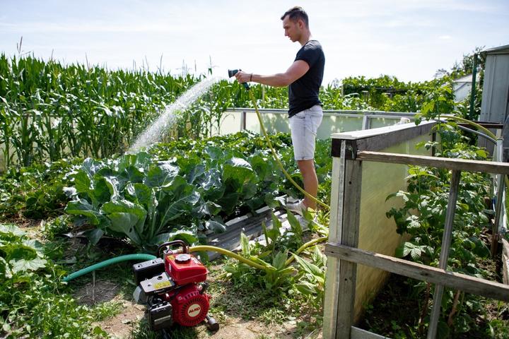 Produktbild AL-KO Benzinmotorpumpe (Gartenpumpe)