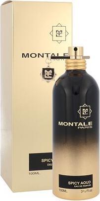 Montale Spicy Aoud (Eau de Parfum, 100 ml)
