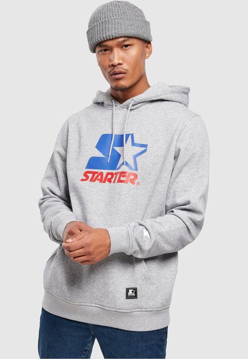Actual product image Starter Two Color Logo Hoody (S)