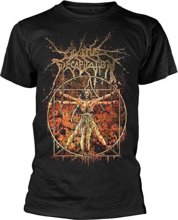 Actual product image Universal Textiles Unisex Adult Vitruvian T-Shirt (S)