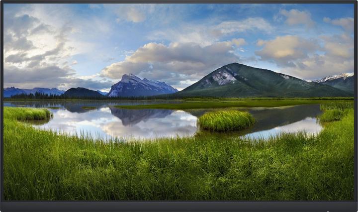 Actual product image Dell P2422H (1920 x 1080 pixels, 23.80")