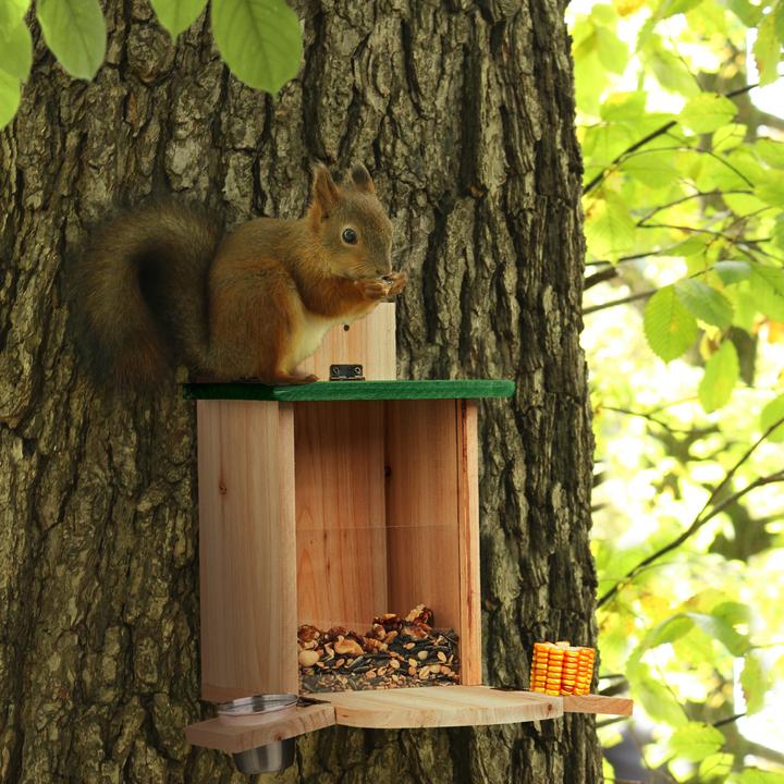 Actual product image Relaxdays Squirrel feeder