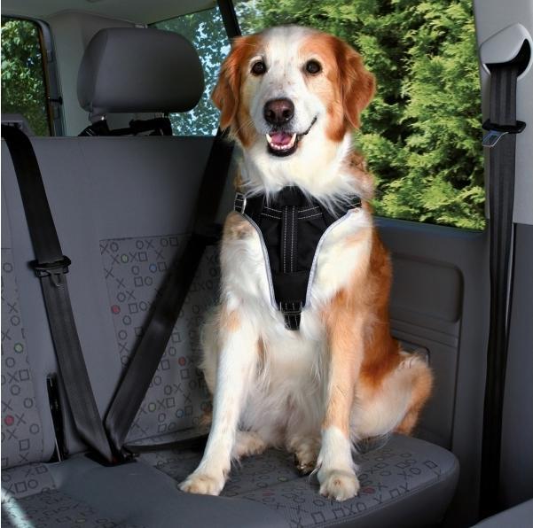Trixie Auto-Geschirr Dog Protect