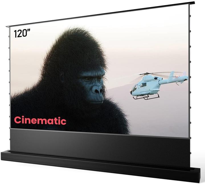 Actual product image AWOL Vision ALR-F220C (120", 16:9)