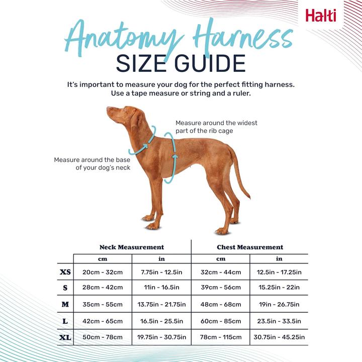 Image du produit Company of Animals Halti Anatomy XL Harnais pour chien (XL, Chien)