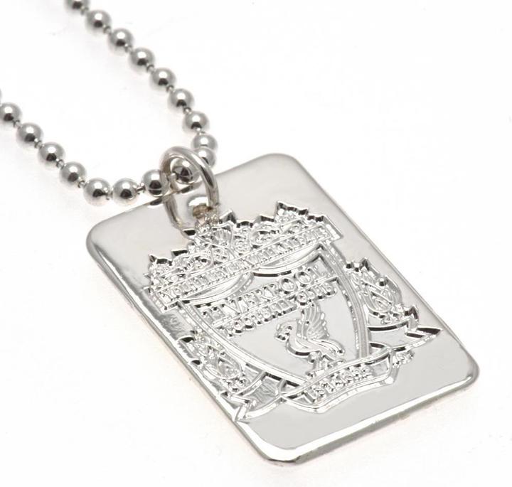 Produktbild Score Draw versilbertes Dog Tag und Kette (100% Metall)