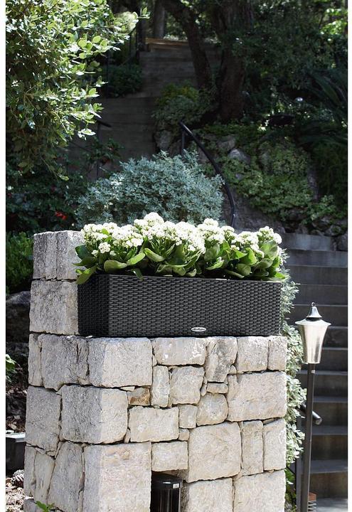 Image du produit Lechuza Chalet Balconera (19 cm)