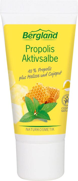 Bergland Propolis active ointment, 30 ml SAL (30 ml)