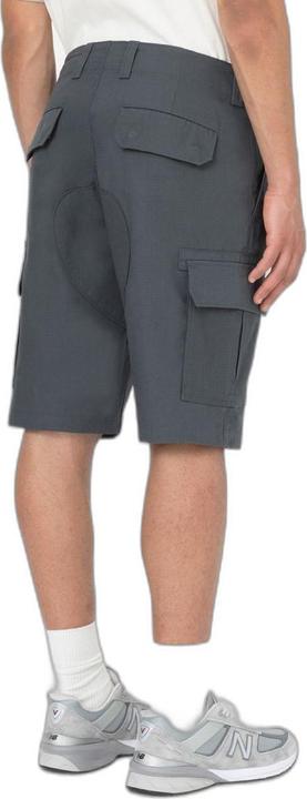 Actual product image Dickies Millerville Short (32)