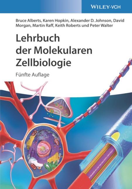 Immagine prodotto Lehrbuch der Molekularen Zellbiologie (Tedesco, Keith Roberts, Bruce Alberts, Alexander D. Johnson, Karen Hopkin, Peter Walter, David Morgan, 2021)