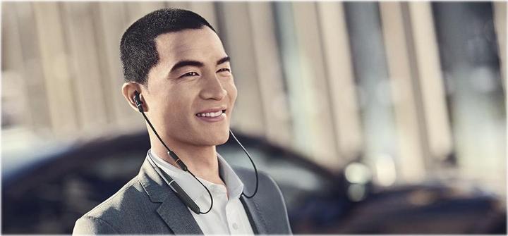 Image du produit Jabra Evolve 65e UC Duo (Sans fil, USB Type-B)