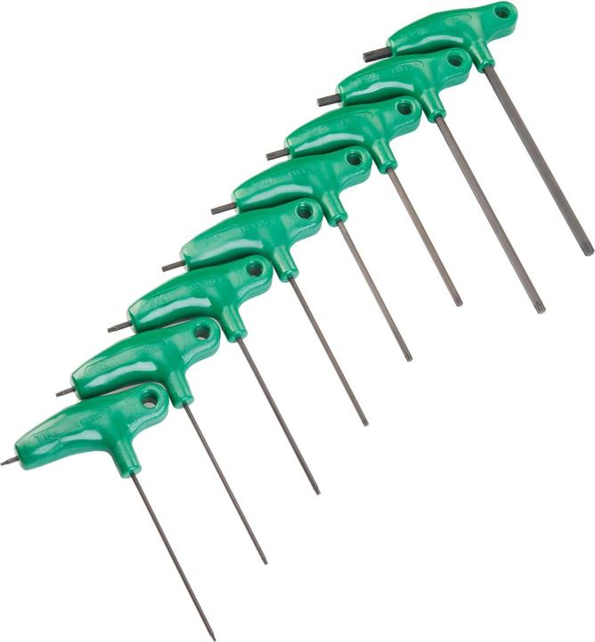 Actual product image Park Tool Torx PH-T1