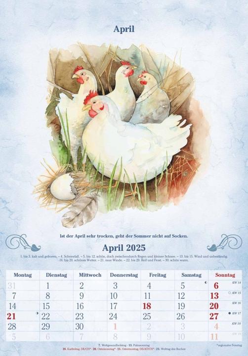 Image du produit Alpha Edition Calendrier du centenaire 2025 Calendrier mural, 23,7x34cm, calendrier illustré avec (Couverture rigide, Allemand)