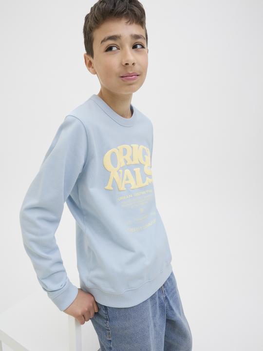 Produktbild Jack & Jones Gedruckt Sweatshirt Junior Sweatshirt (164)