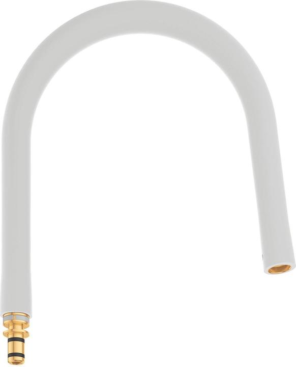 Actual product image Grohe GROHFlexx kitchen hose spout